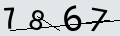 verifycode